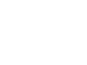 Pro Legacy Corp Logo White Out